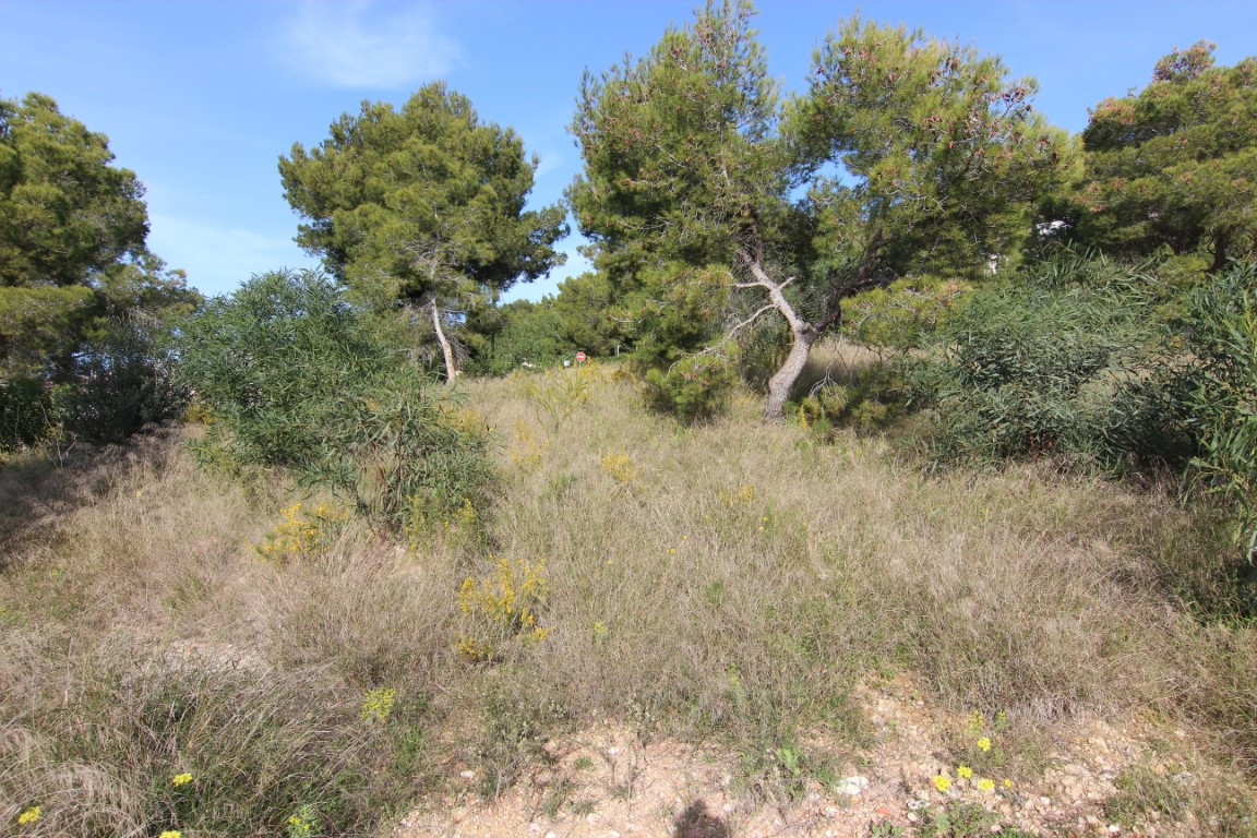 Plot in Javea