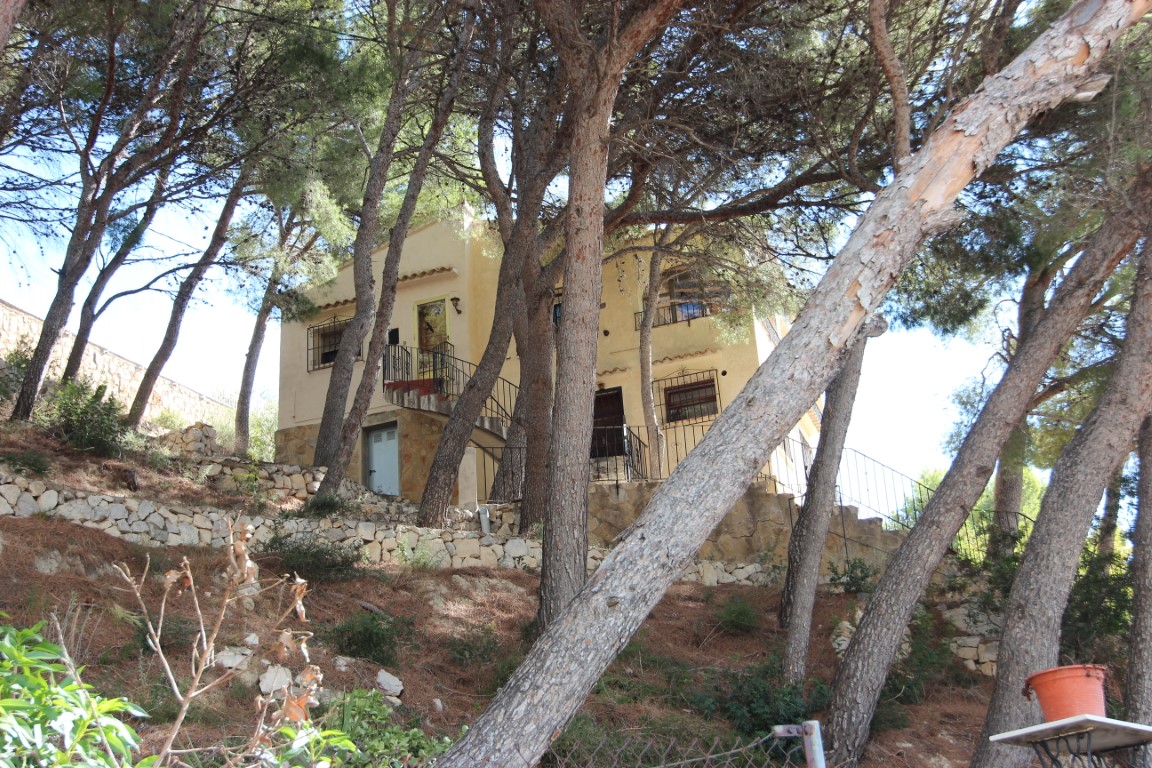 Villa in Rojales