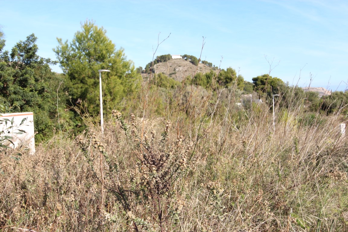 Plot in Javea