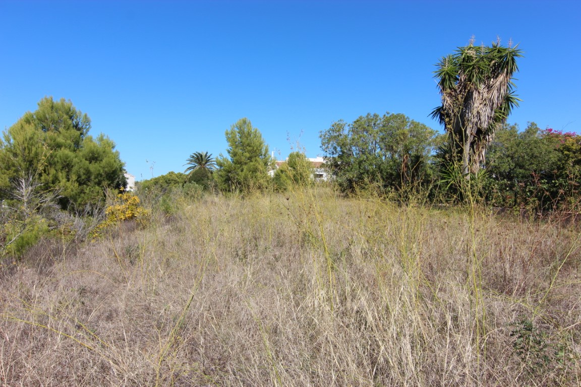 Plot in Javea