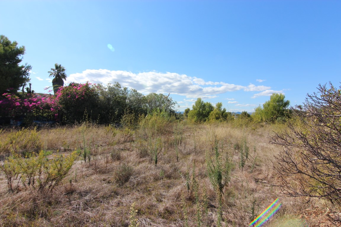 Plot in Javea