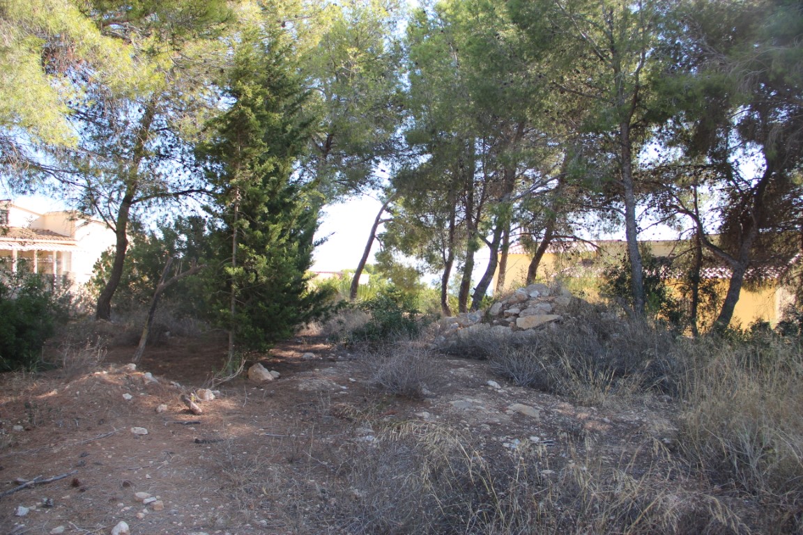 Plot in Benissa