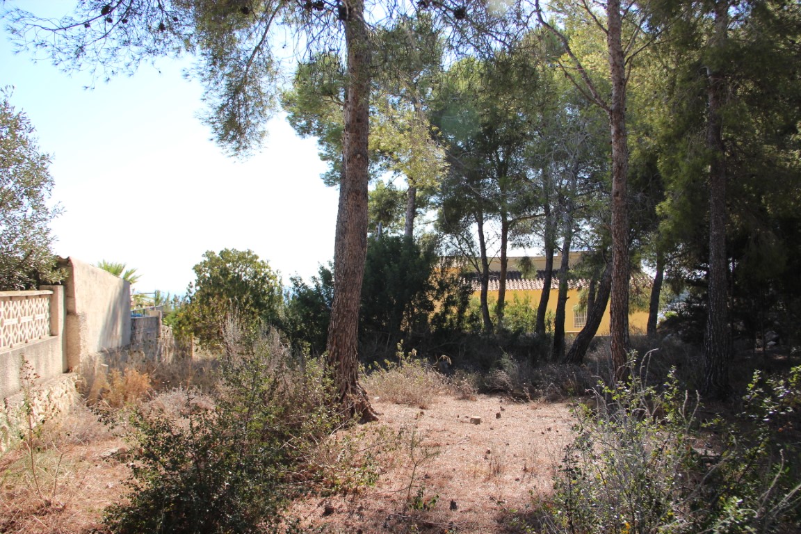 Plot in Benissa