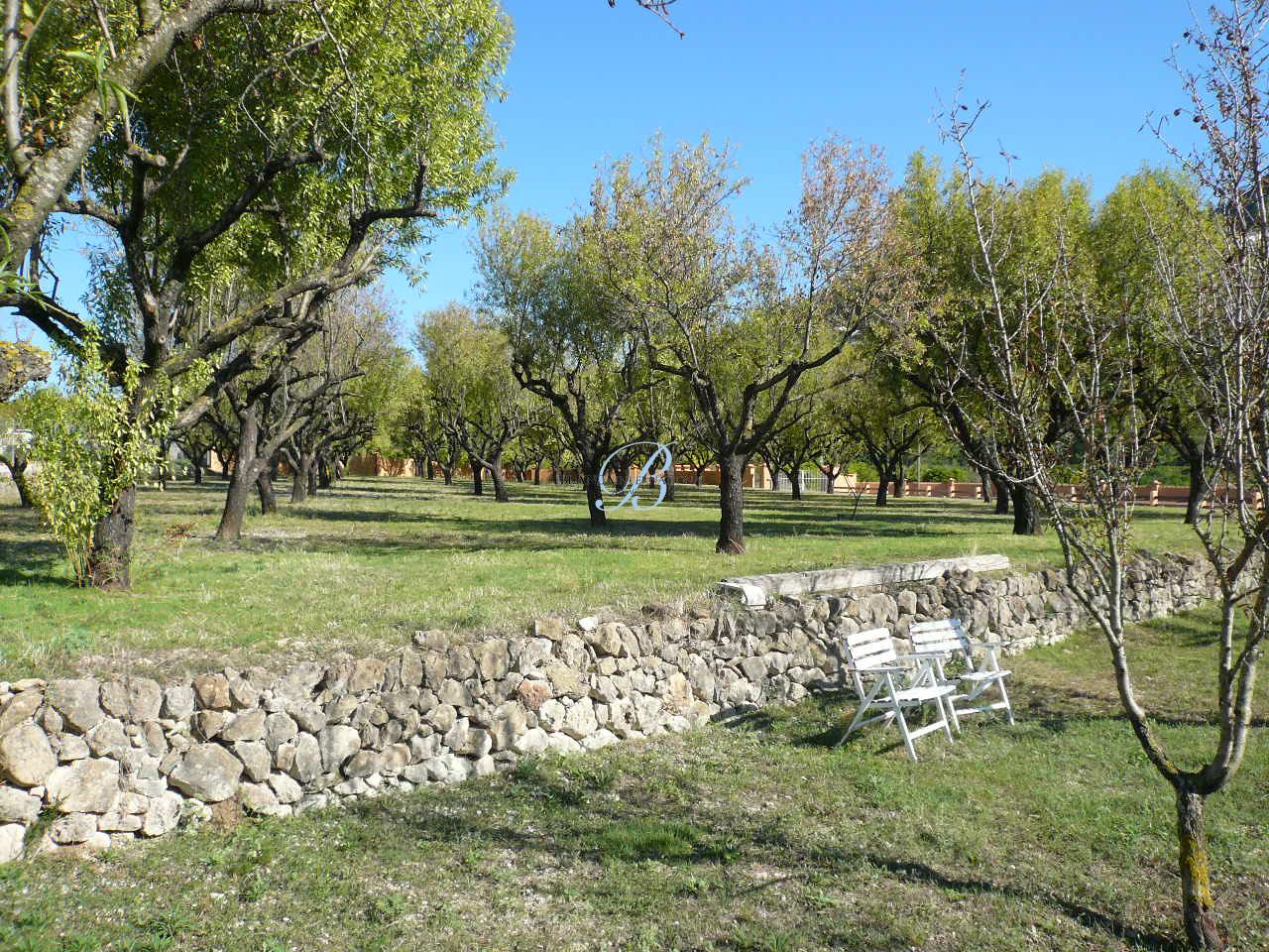 Villa in Pedreguer