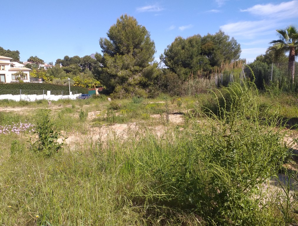 Plot in Javea