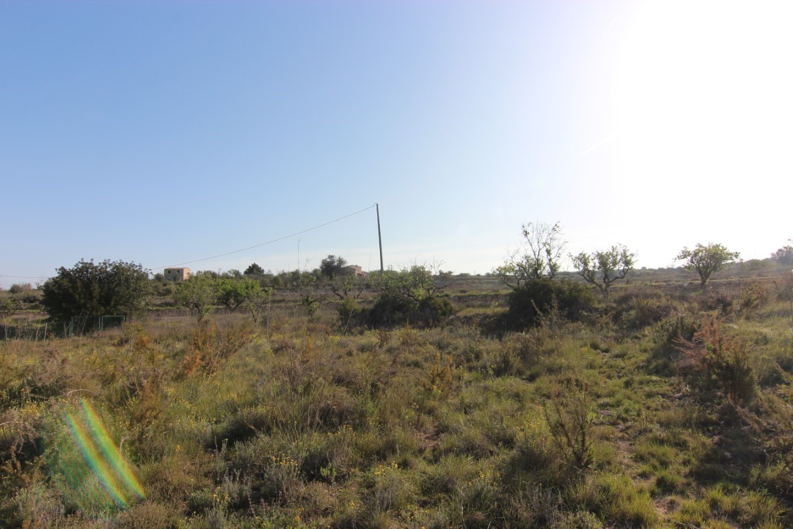 Plot in Teulada