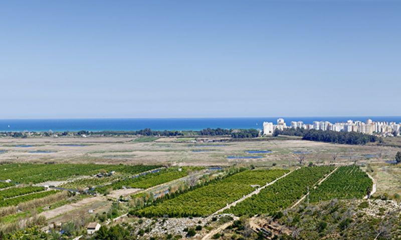 Apartment in Xeresa
