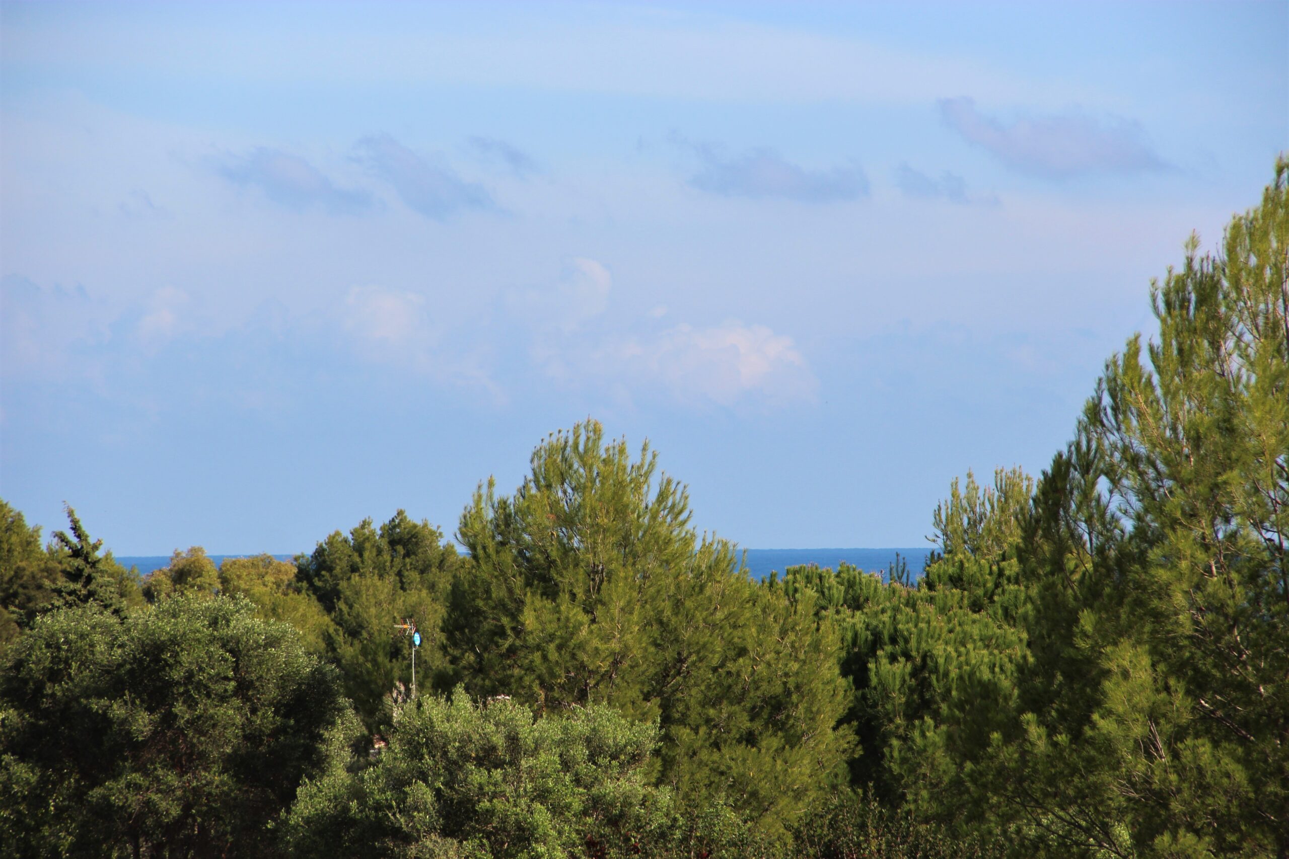 Apartment in Denia