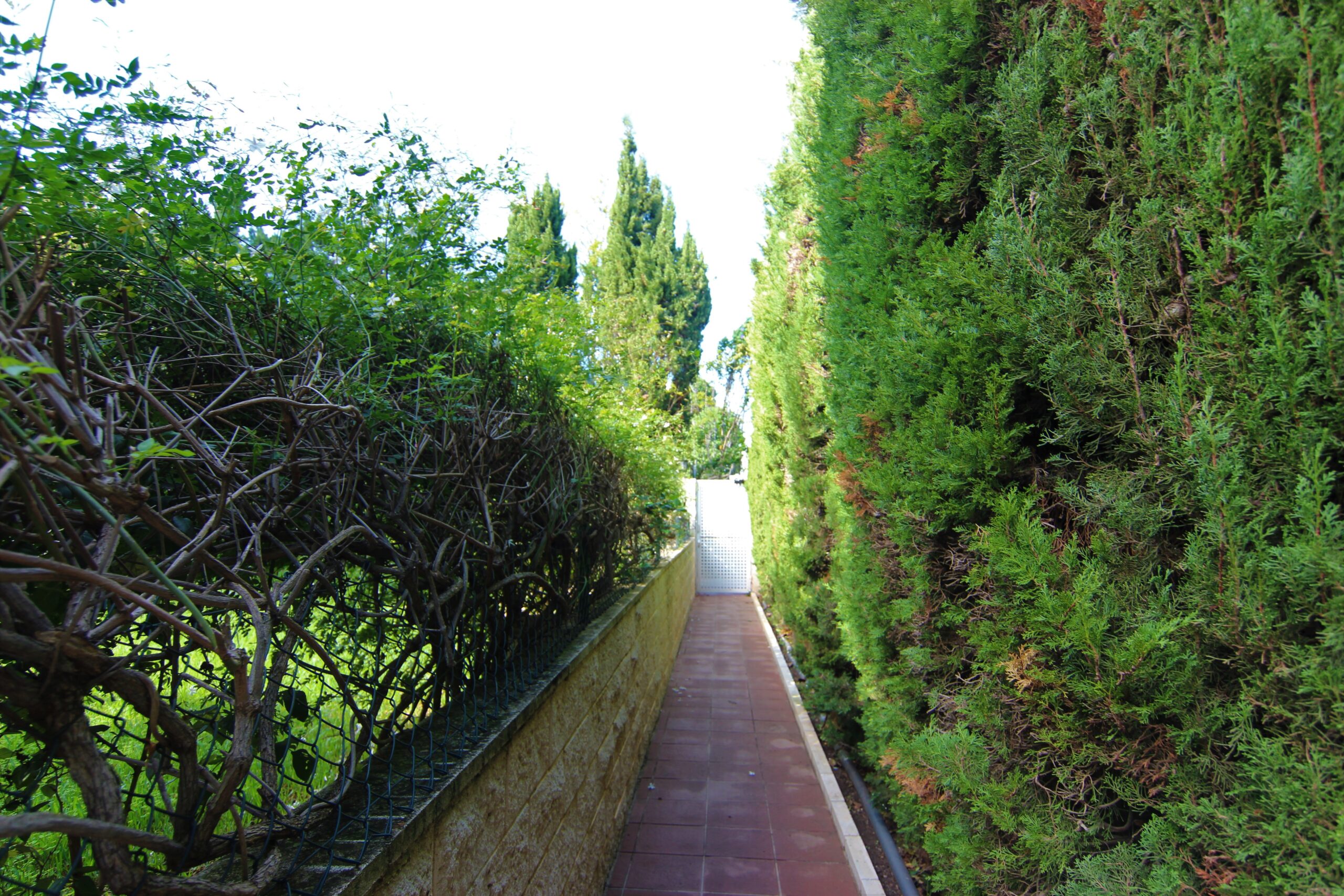 Apartment in Denia