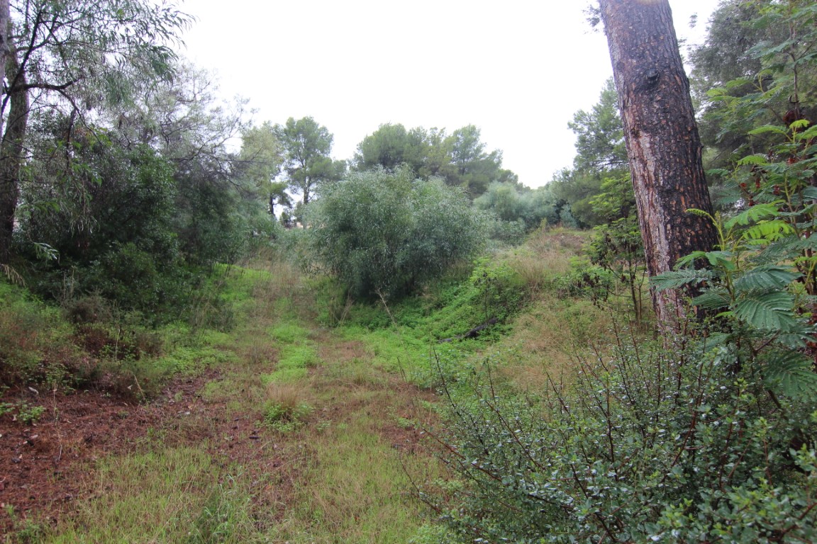 Plot in Moraira