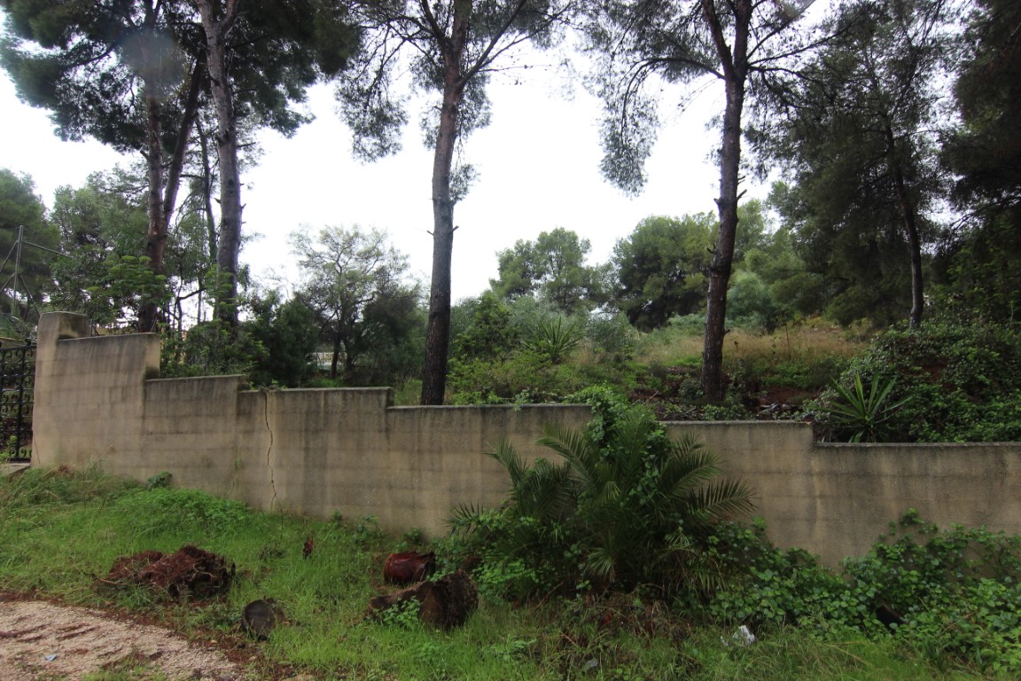 Plot in Moraira