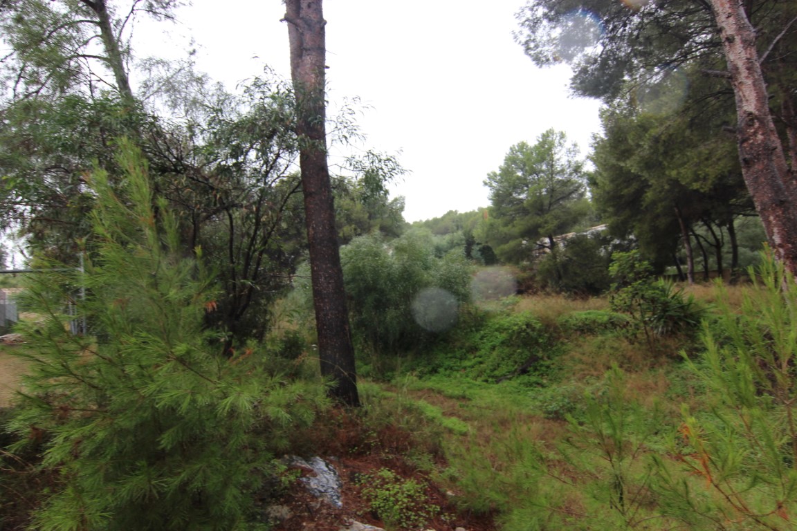 Plot in Moraira