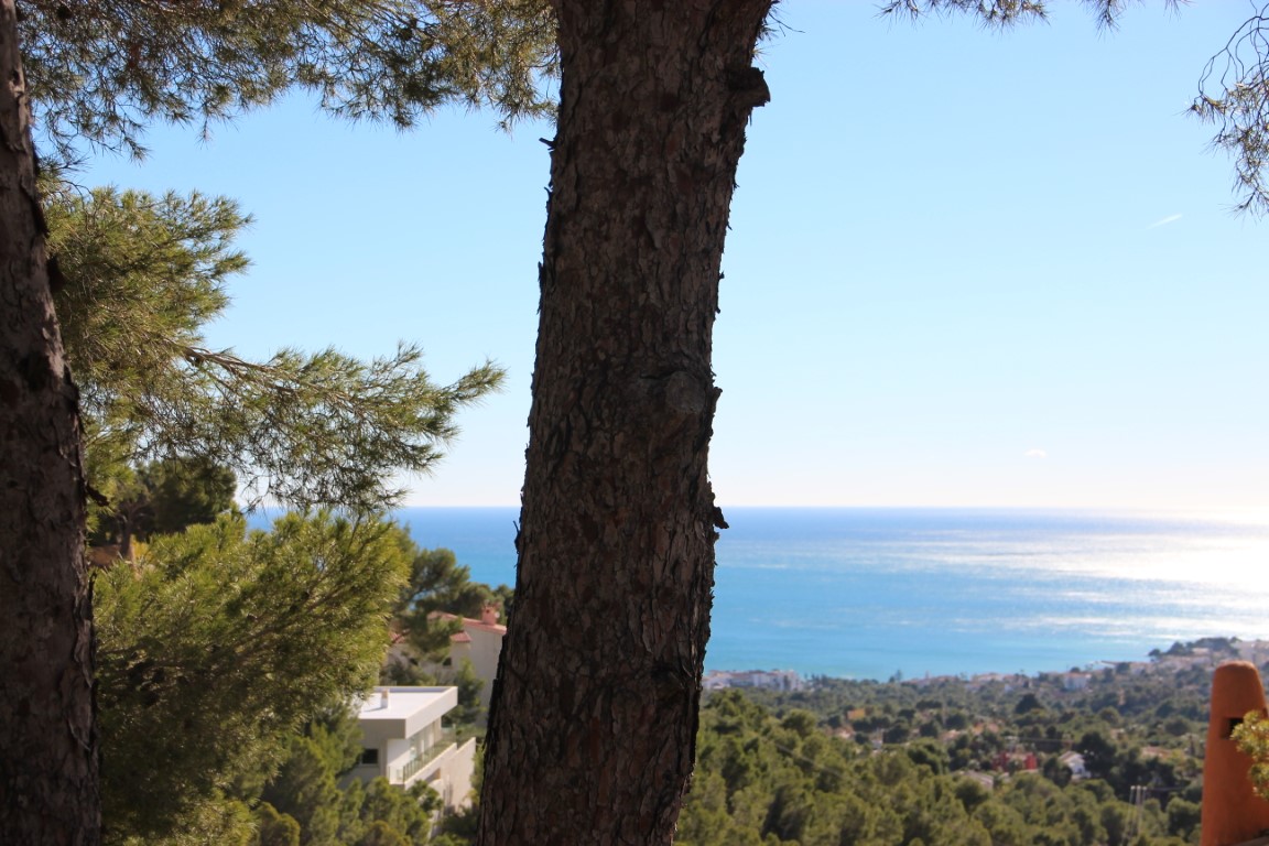 Plot in Altea