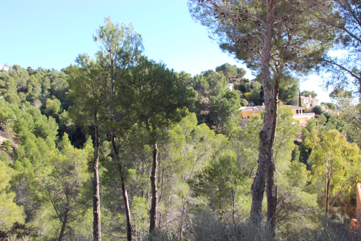 Plot in Altea