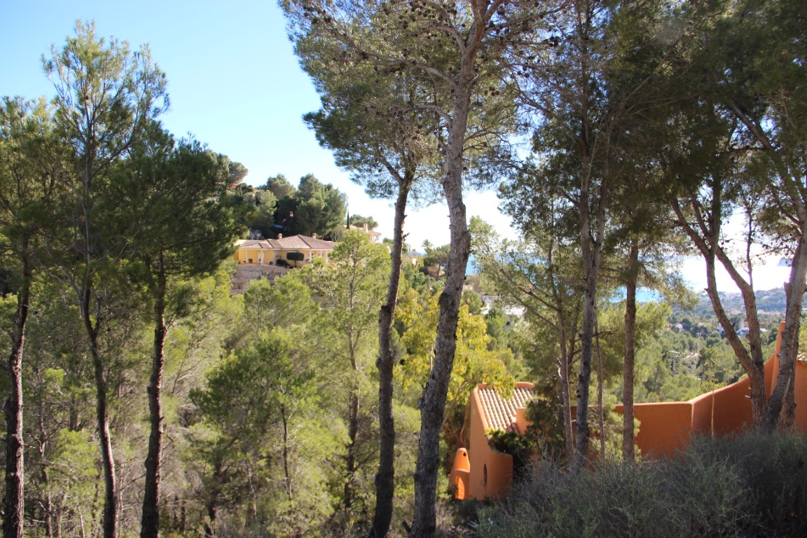 Plot in Altea