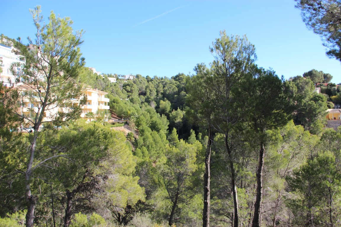 Plot in Altea