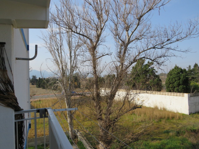 Apartment in Denia