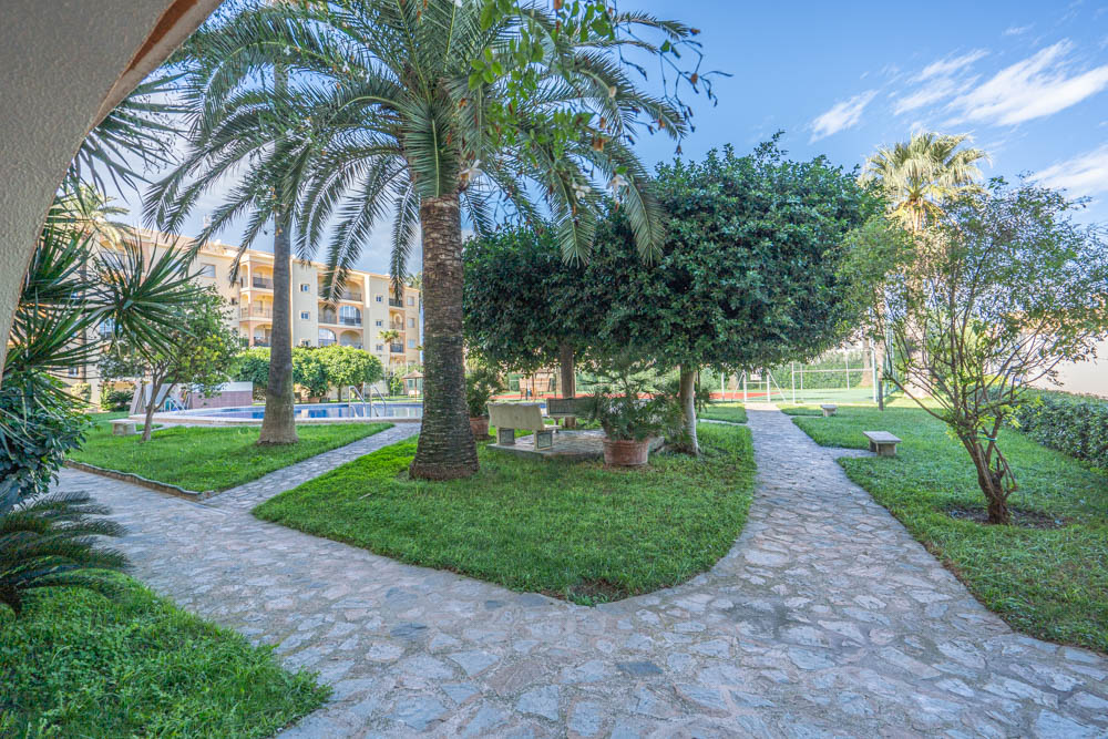 Apartment in Denia